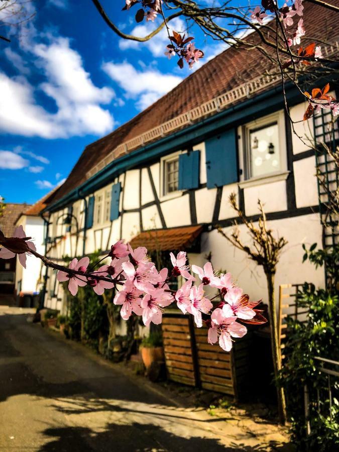 Hexenhaeuschen Dreieichenhain 外观 照片